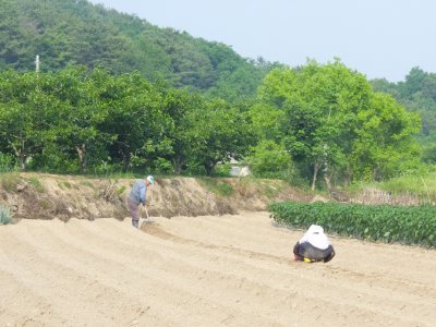 korea-1030601.jpg