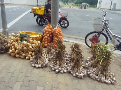 korea-1030714.jpg
