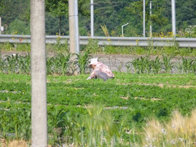 korea-1030853.jpg