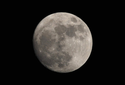 DSC_0272a.jpg