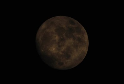 DSC_0278a.jpg