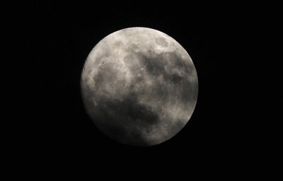 DSC_0291a.jpg