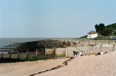 43620022a.jpg