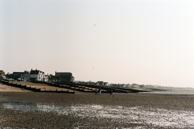 43620038a.jpg