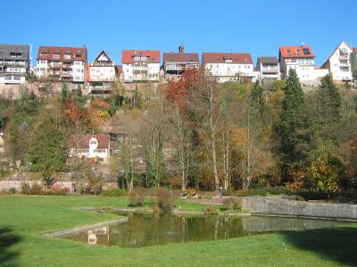 Wildberg_side_2.jpg