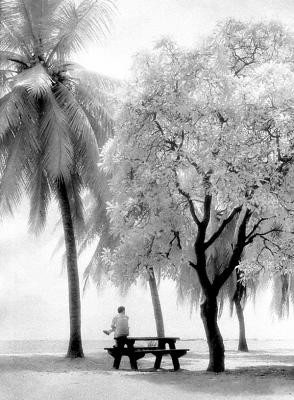 g4/25/480025/3/59612427.BeachIR_filtered_2.jpg