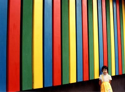 g4/25/480025/3/59921236.Verticalcolors2.jpg