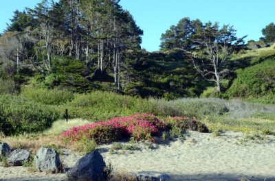 Mendocino