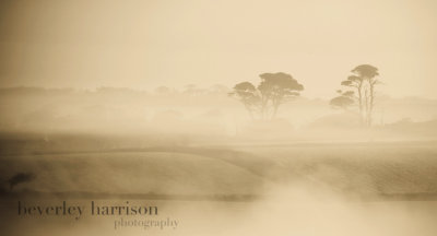 Another misty morning shot...