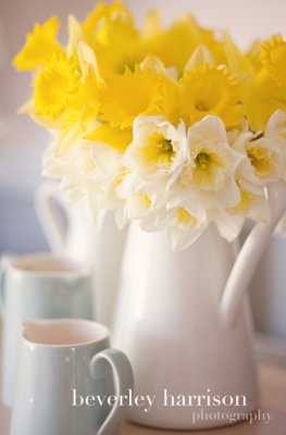 daffs