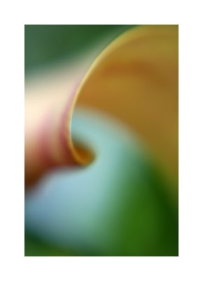 ===