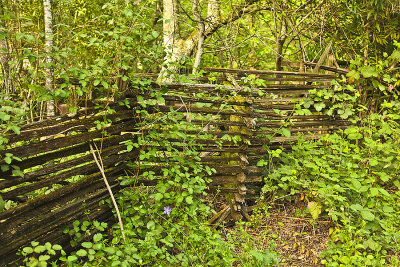 Ye Ol' Fence
