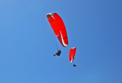 IMG_7981.JPG