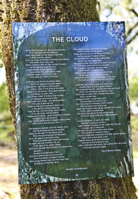 The Cloud