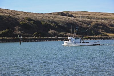 Heading out of Bodega Bay