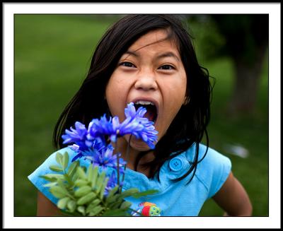 may 9 Please don't eat the daisies