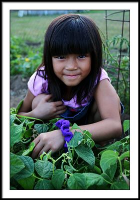 july 9 bean picker