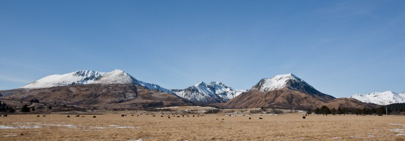 0A6Q9220a1.jpg