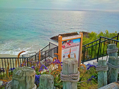 Sunset Laguna cove.jpg
