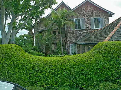 vine covered house Laguna.jpg