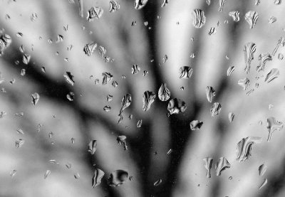 Challenge No. 138  Behind Glass Main Category
Tree branches through a rain splashed window

3rd place  TOP THREE
Current rating 6th