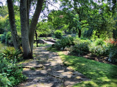 Local Park