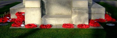 Challenge No. 149 Symmetry Main Category
Strength and Remembrance
16th place
Current rating 6th
