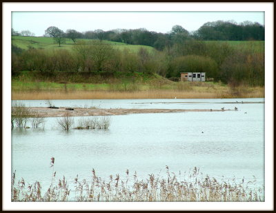 Brockhall Nature Reserve 8