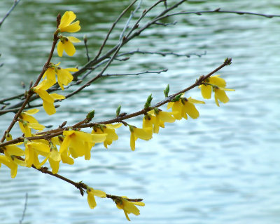 Springtime