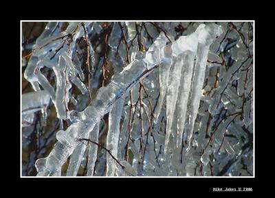 Frozen Tree #2