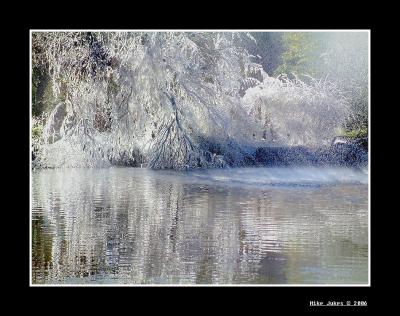 Winter wonderland
The result of below freezing temperatures overnight and spray from a fountain being blown over trees and bushes.