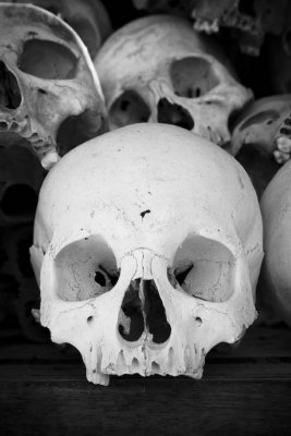 3967_Killing_Fields_skulls