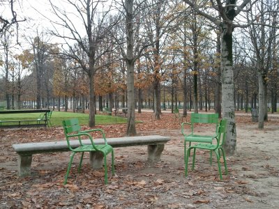 Les feuilles mortes - autumn days in Paris