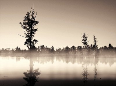mermet lake sepia  fog.jpg
