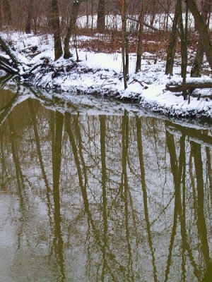 the creek in winter.jpg