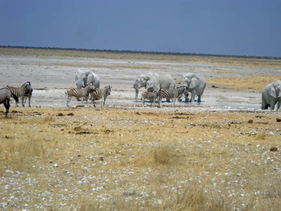 Etosha