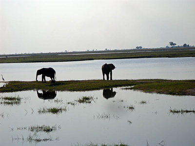 Chobe