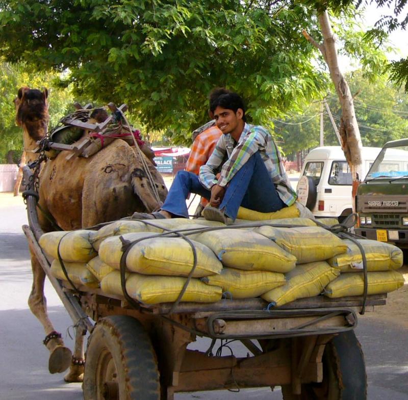 delivery driver