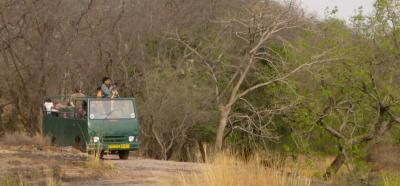 safari bus