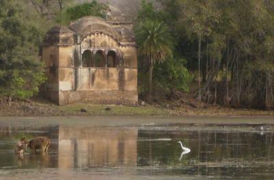 g4/25/660225/3/59277870.India036.jpg