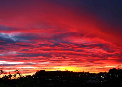 view from my bed, auckland 1