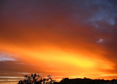 view from my bed, auckland 4