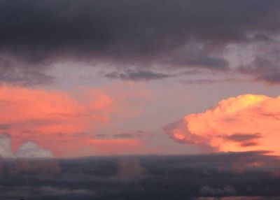 view from my window, auckland