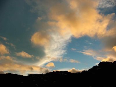 wellington