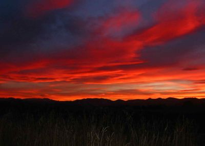 random sunset new zealand