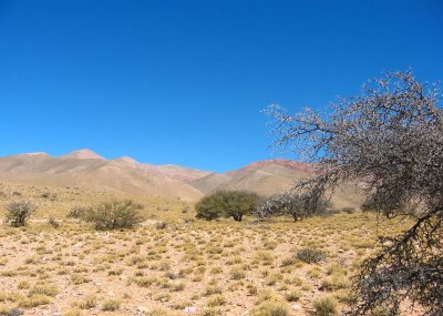 desert to the east