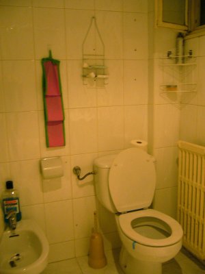 toilet and bidet...no comment about the large bottle of Listerine on the bidet...it's my flatmate's