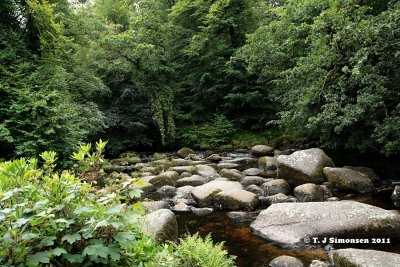 Dartmoor