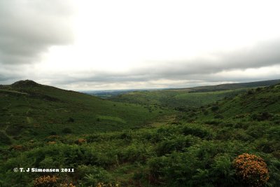 Dartmoor