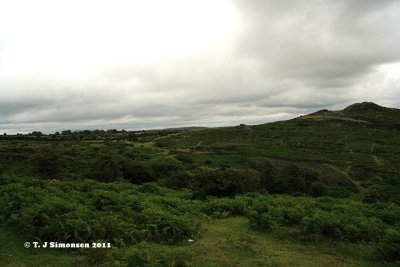 Dartmoor